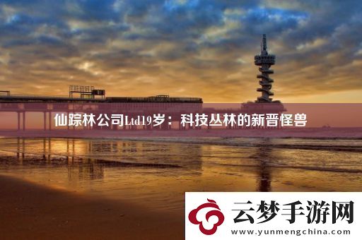 仙蹤林公司Ltd19歲