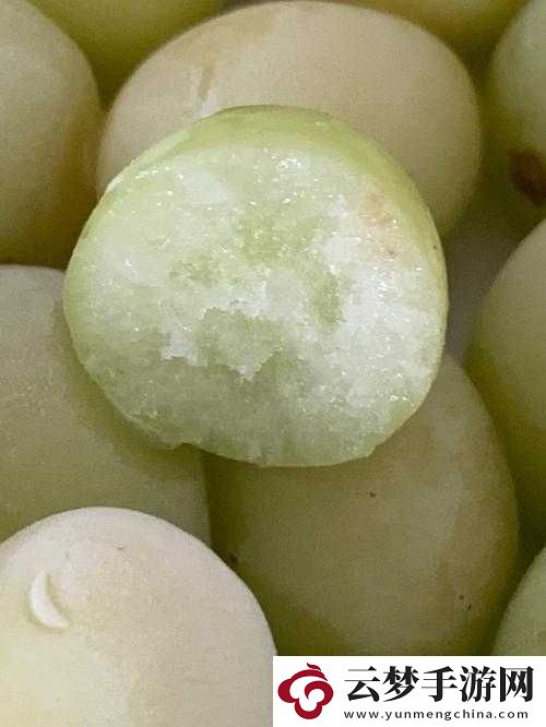葡萄不準掉出來晚上檢查