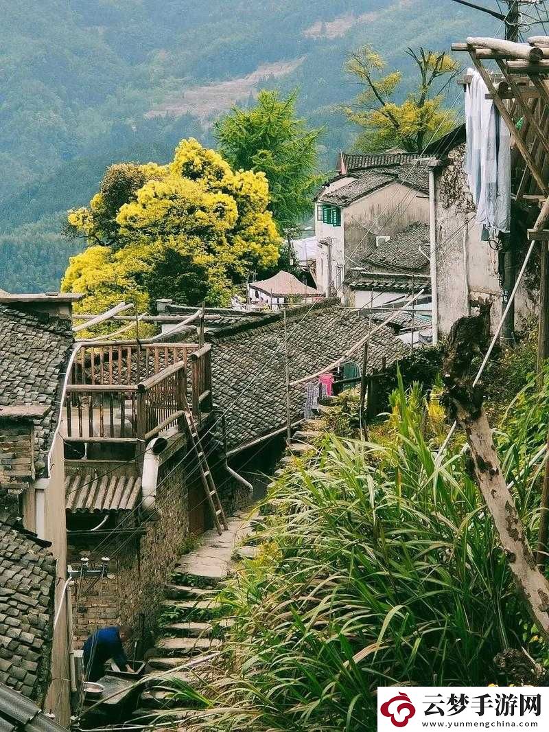 鄉(xiāng)村風(fēng)流
