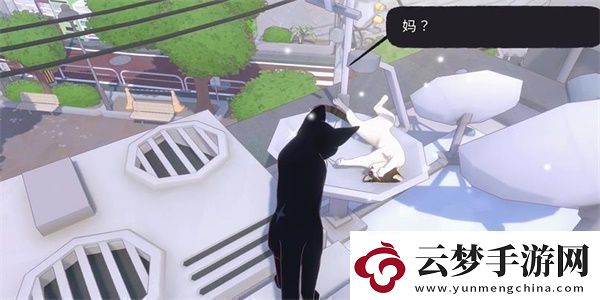 小貓咪大城市等待一縷陽光任務(wù)攻略