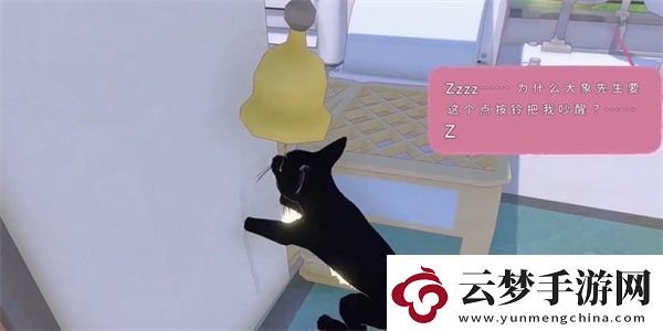 小貓咪大城市等待一縷陽光任務(wù)攻略