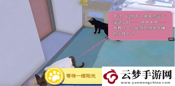 小貓咪大城市等待一縷陽(yáng)光任務(wù)攻略