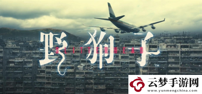 野狗子奇才怎么獲得