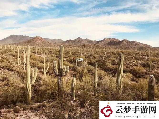 妹妹窩人體色
