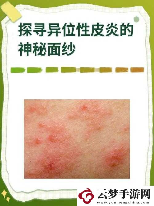 成全站源碼入口隱藏通道