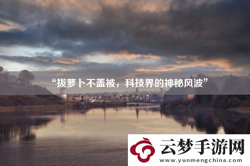 “拔蘿卜不蓋被