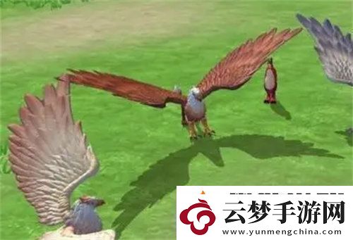 創(chuàng)造與魔法獅鷲飼料怎么制作