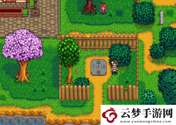 星露谷物語科羅布斯位置一覽