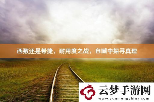 西數(shù)還是希捷