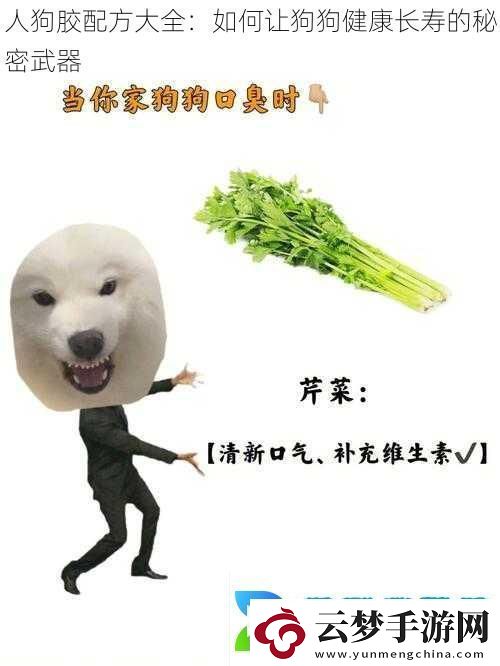 人狗膠配方大全