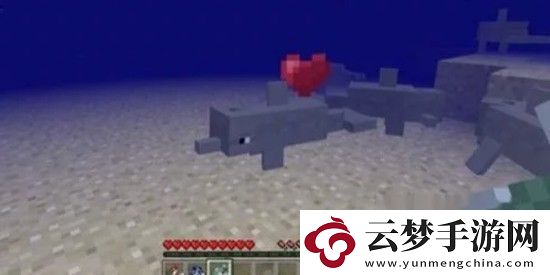 我的世界海豚有什么用