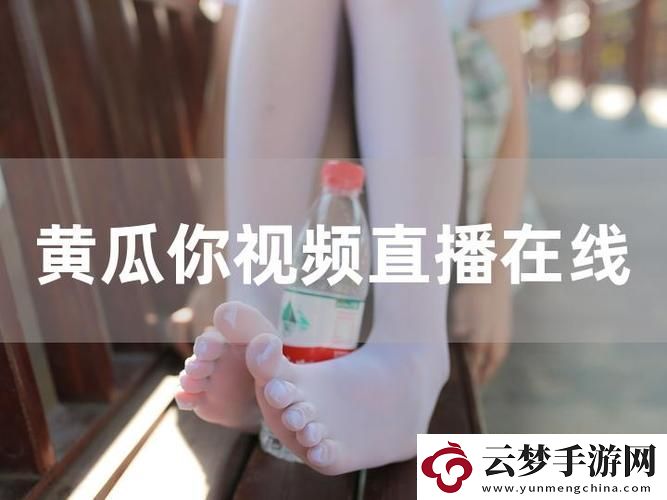高效掌握成品直播大全觀視頻的技巧