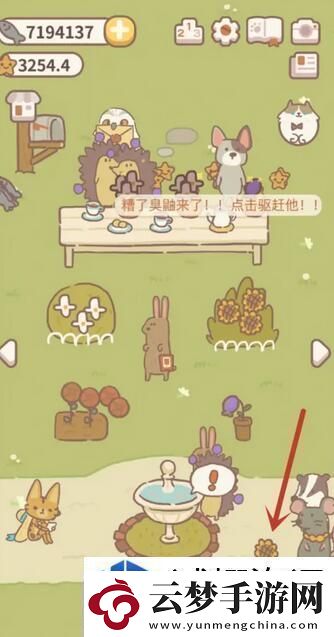 動物餐廳白玫瑰怎么獲得