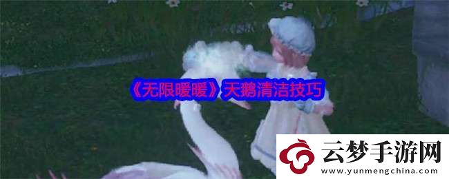 無(wú)限暖暖天鵝怎么清潔