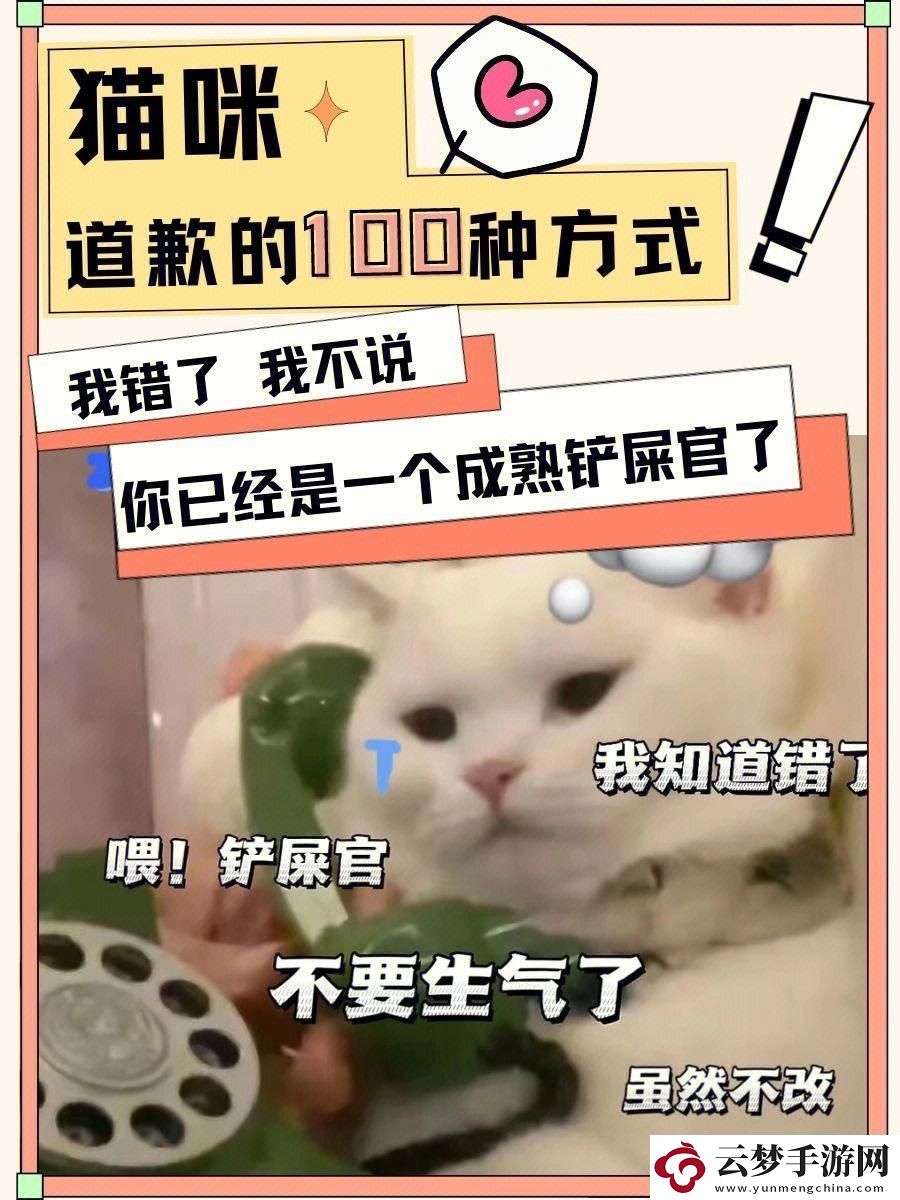 “主人