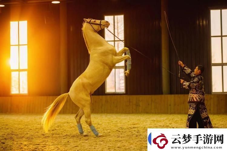 日本人馬畜禽公司澎湃號(hào)