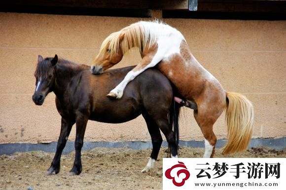 突破極限
