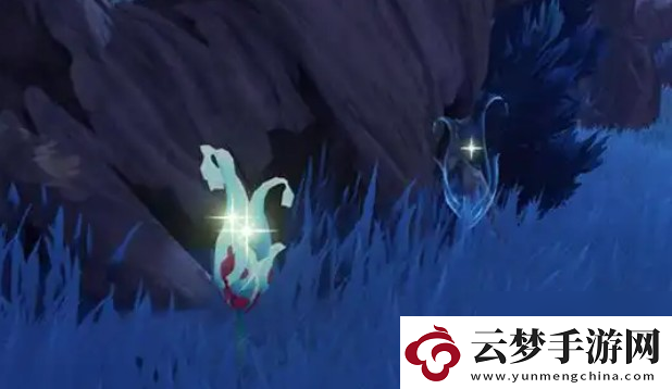 常世之莢在哪里在哪