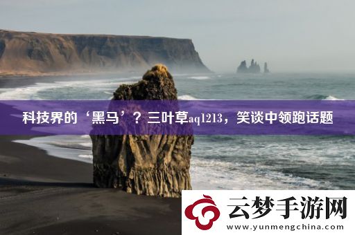 科技界的‘黑馬’