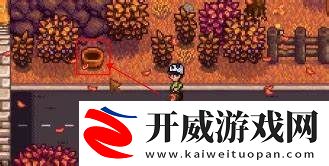 星露谷物語游戲中萊納斯的籃子到底藏在哪里呢