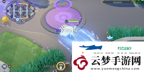 寶可夢大集結(jié)阿羅拉九尾持有物怎么搭配