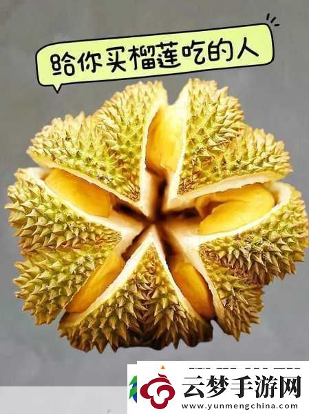 lll.999榴蓮讓你流連忘返破解無限制看演出