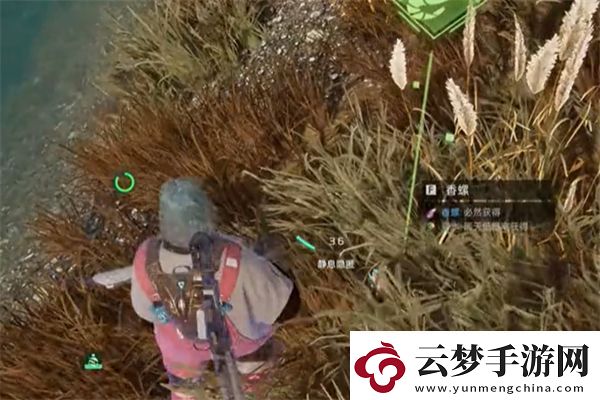 星球重啟變質(zhì)的美味任務(wù)完成方法