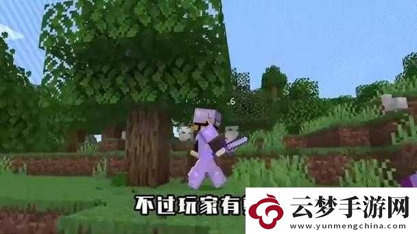 暴躁老外玩