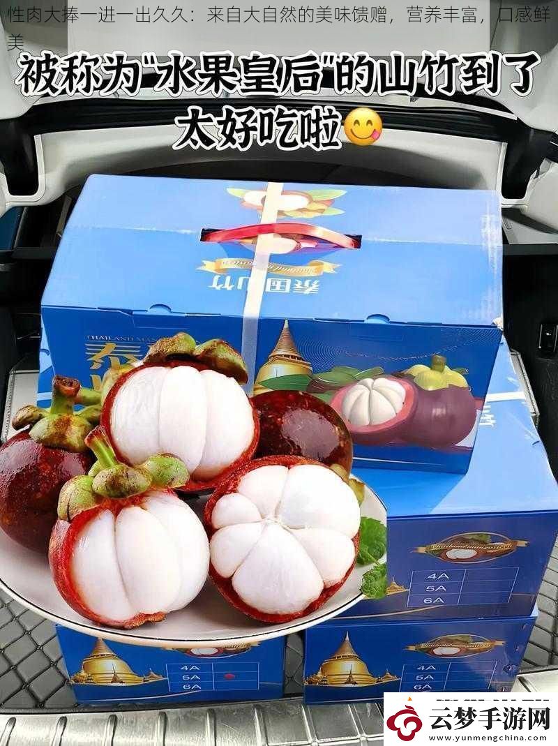性肉大捧一進(jìn)一出久久