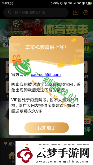 草莓