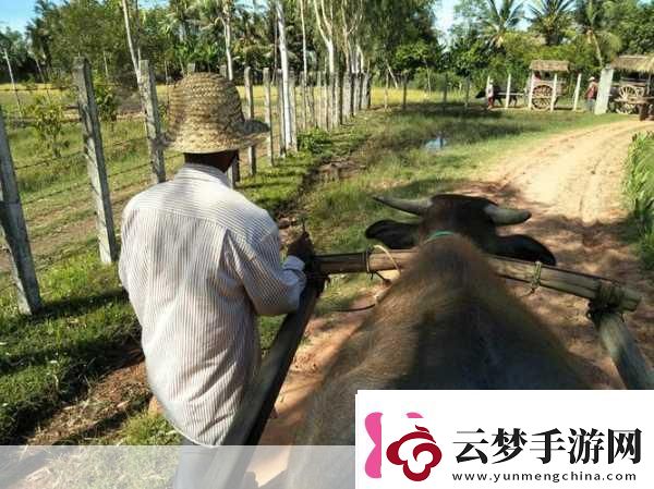 柬埔寨幼稚綠野仙蹤www將迎來(lái)全民直播＂柬埔寨幼稚綠野仙蹤全民直播新體驗(yàn)