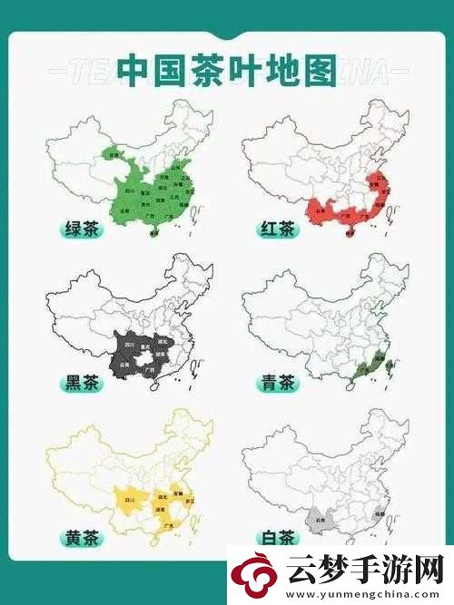 精華國(guó)產(chǎn)一二三產(chǎn)區(qū)區(qū)別之特性與差異解析