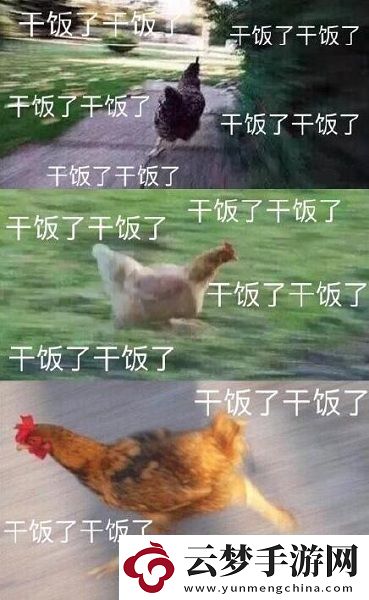 干飯人干飯魂梗意思、含義、出處介紹