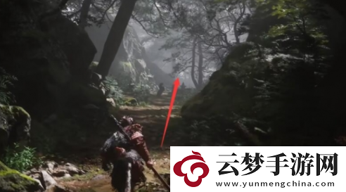 黑神話悟空蒼狼林寶箱位置在哪