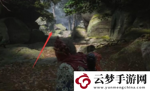 黑神話悟空蒼狼林寶箱位置在哪