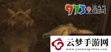 魔獸世界罪奔者布蘭契馬怎么得罪奔者布蘭契馬獲取方法