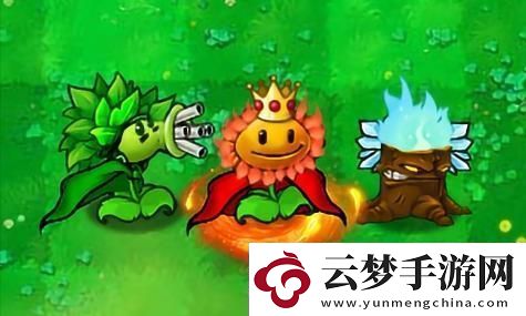 雙影奇境2024年最新消息