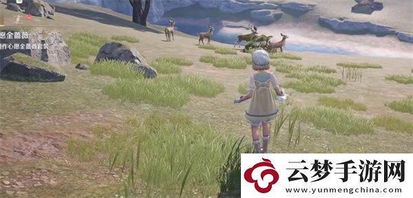 無限暖暖花環(huán)毛團(tuán)獲取方法分享