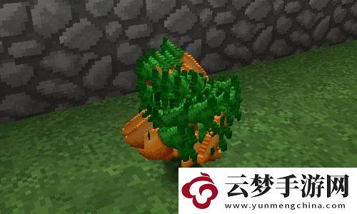 魔獸世界11.1版本奶騎大秘境天賦推薦與加點攻略，網(wǎng)友：這才是真正的光明使者！
